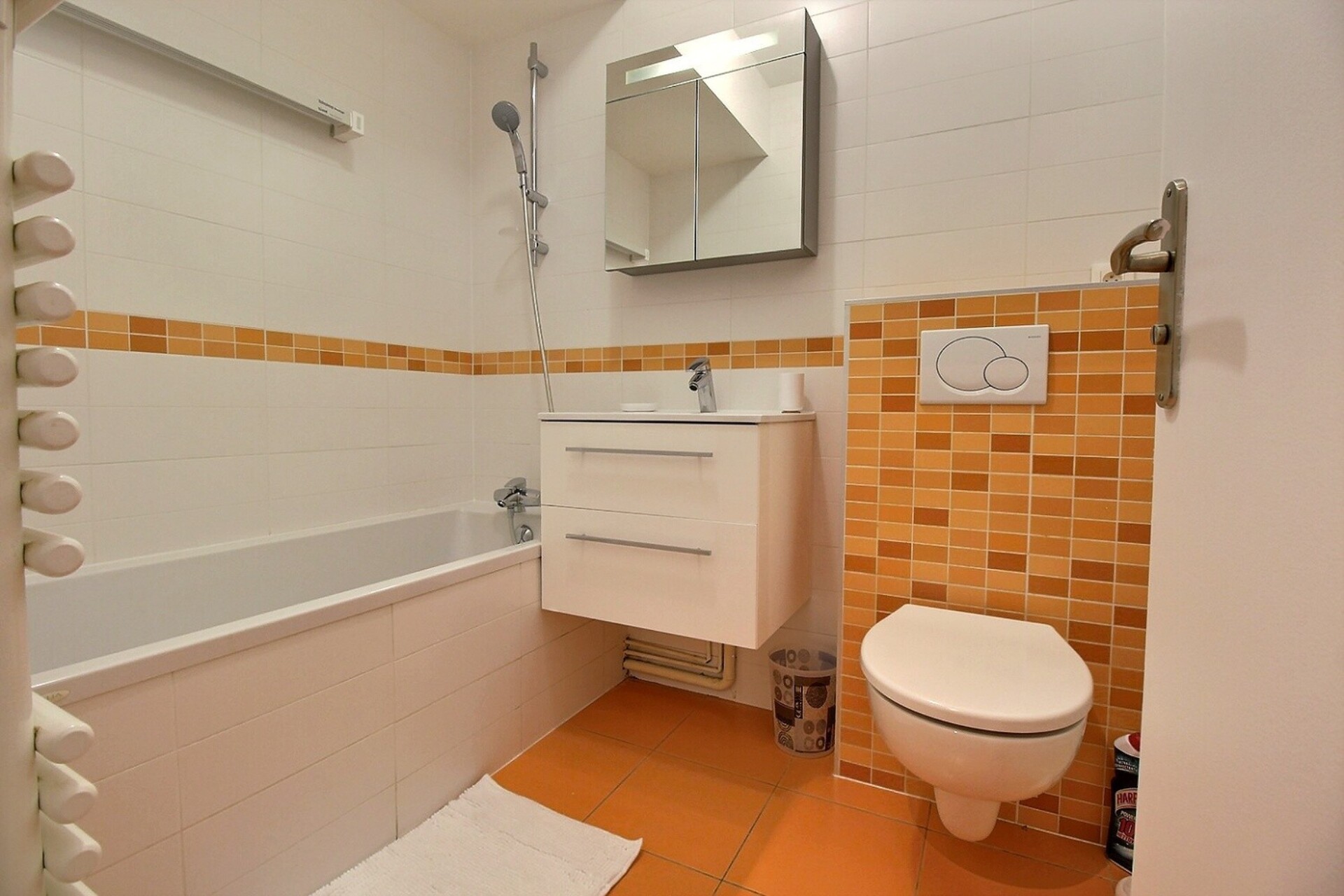 investir dans l'immobilier locatif annemasse