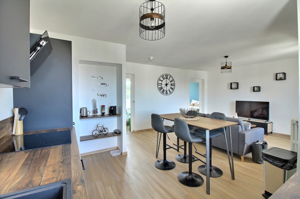 colocation annemasse