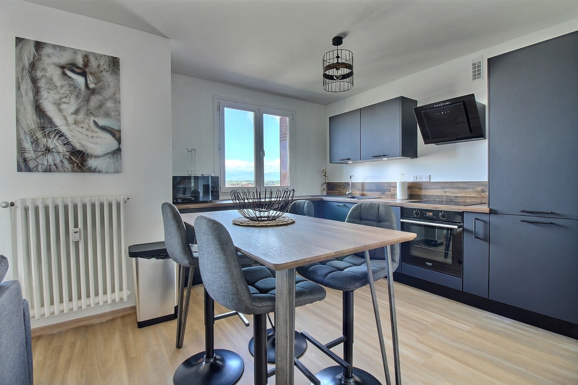 colocation annemasse