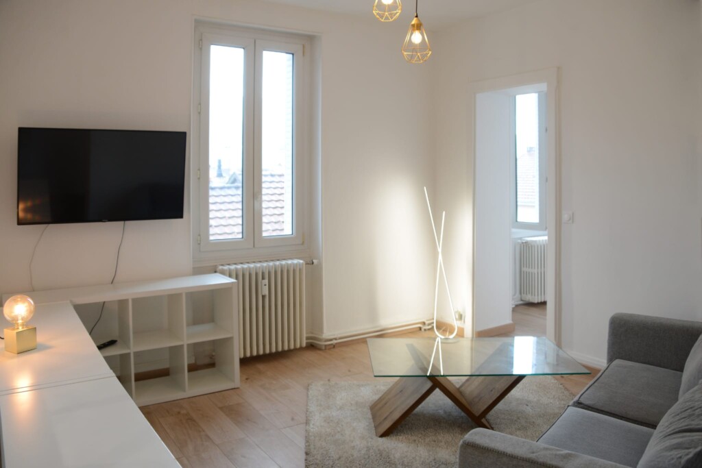 investissement locatif bellegarde