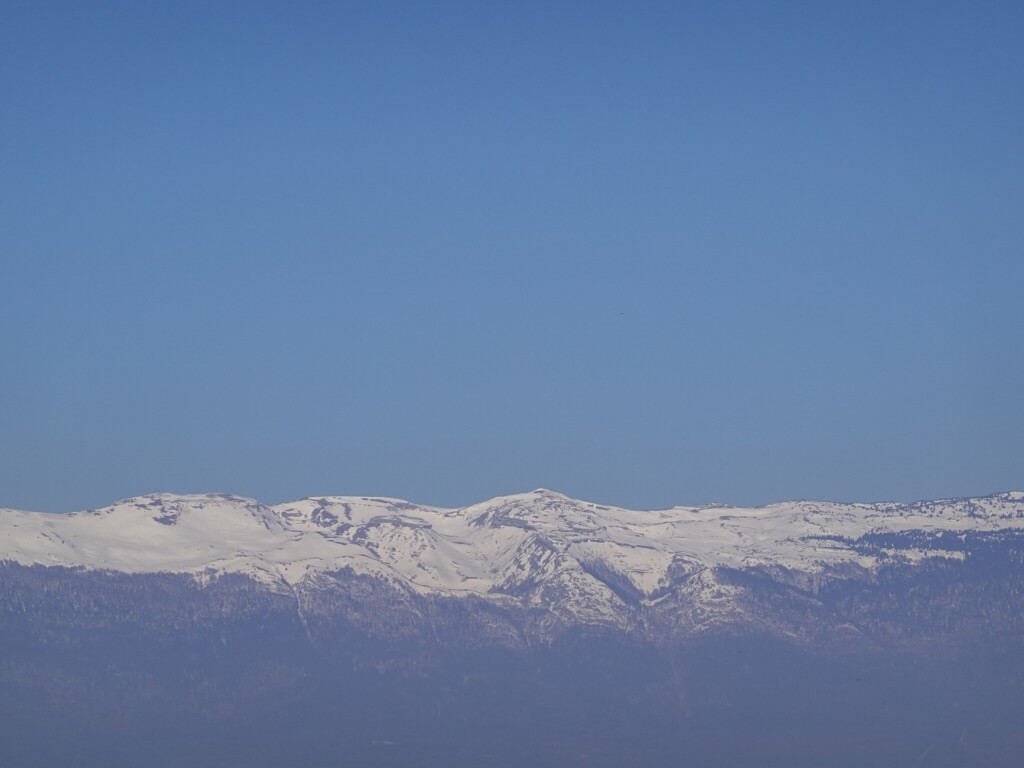 investir dans l'immobilier locatif