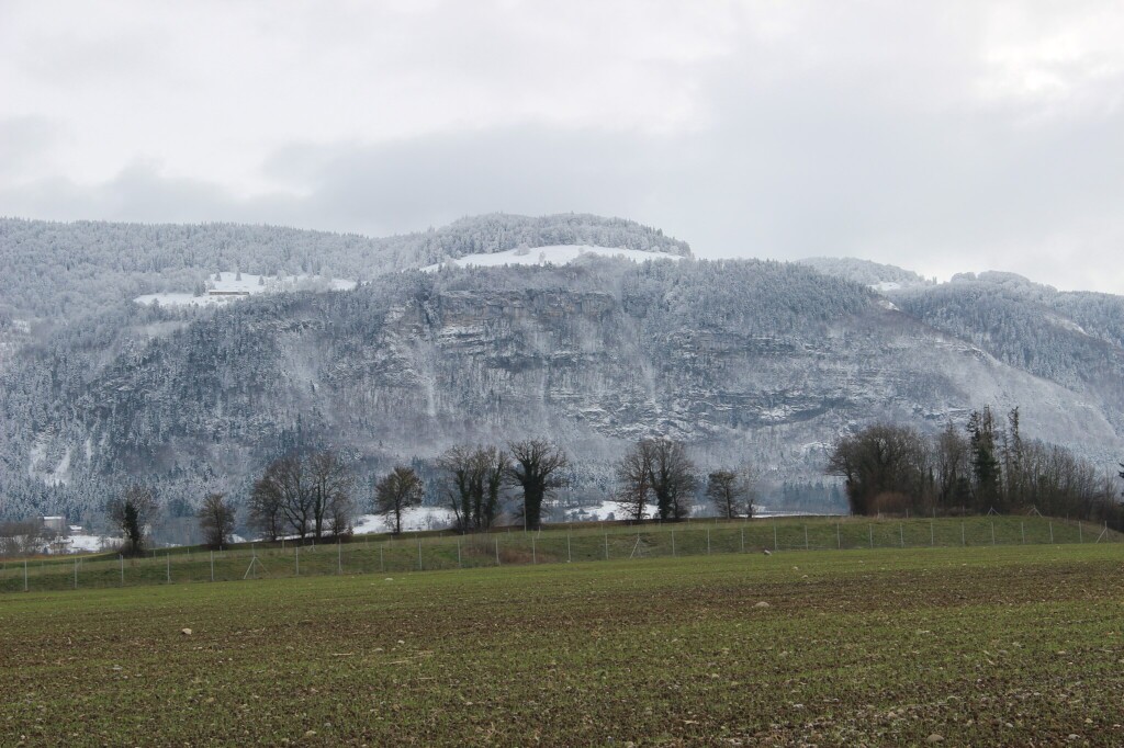 investir dans l'immobilier locatif