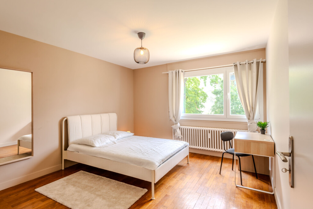 Investir dans l'immobilier en Haute-Savoie